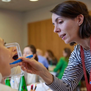 Taller de cepillado online